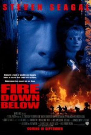 Fire Down Below poster