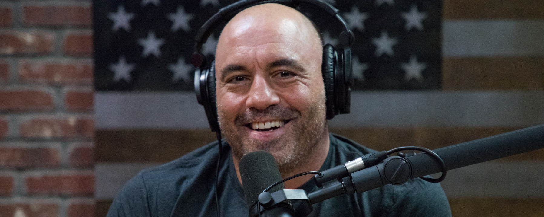 Joe Rogan in Grand Theft Auto 6?  |  MovieZine