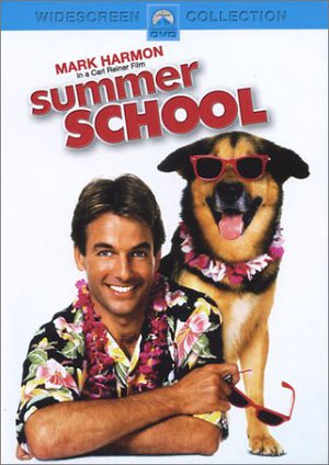 Summer School poster